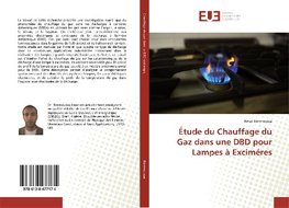 Étude du Chauffage du Gaz dans une DBD pour Lampes à Exciméres