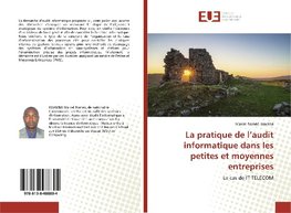 La pratique de l'audit informatique dans les petites et moyennes entreprises