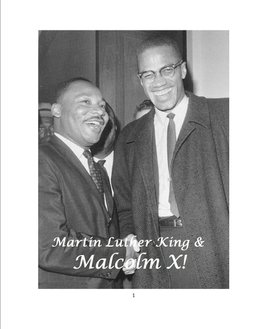 Martin Luther King and Malcolm X!