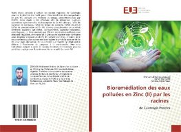 Bioremédiation des eaux polluées en Zinc (II) par les racines