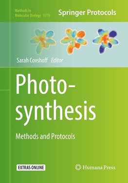 Photosynthesis