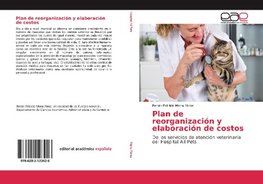 Plan de reorganización y elaboración de costos