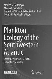 Plankton Ecology of the Southwestern Atlantic