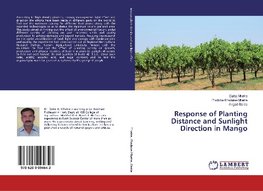 Response of Planting Distance and Sunlight Direction in Mango