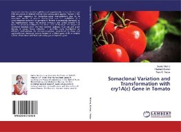 Somaclonal Variation and Transformation with cry1A(c) Gene in Tomato