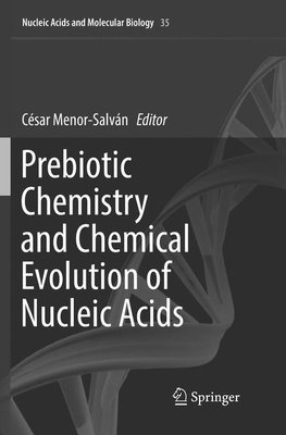 Prebiotic Chemistry and Chemical Evolution of Nucleic Acids