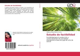 Estudio de factibilidad