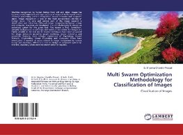 Multi Swarm Optimization Methodology for Classification of Images