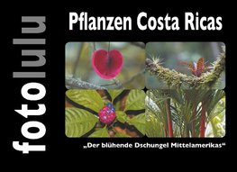 Pflanzen Costa Ricas