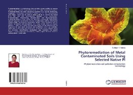 Phytoremediation of Metal Contaminated Soils Using Selected Native Pl