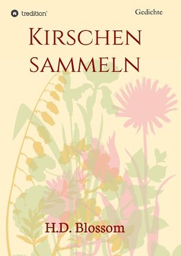 Kirschen Sammeln