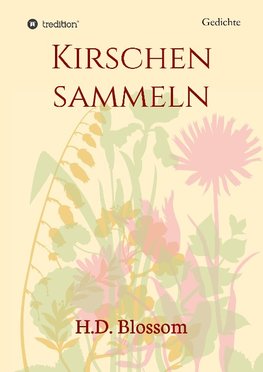 Kirschen Sammeln