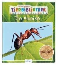 Meine große Tierbibliothek: Die Ameise