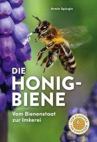 Die Honigbiene