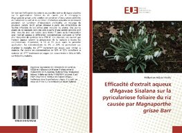 Efficacité d'extrait aqueux d'Agavae Sisalana sur la pyriculariose foliaire du riz causée par Magnaporthe grisae Barr