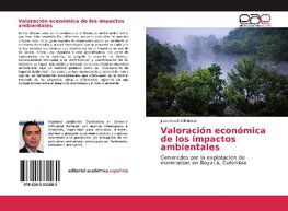 Valoración económica de los impactos ambientales