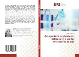 Antagonisme des bactéries lactiques vis à vis des moisissures de Blés