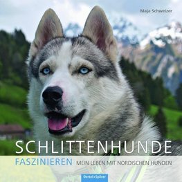 Schlittenhunde faszinieren