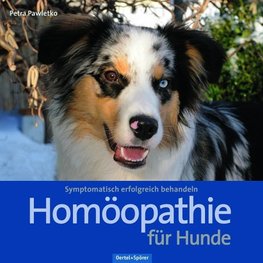 Homöopathie für Hunde