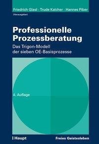 Professionelle Prozessberatung