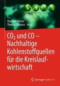 CO2 und CO - Nachhaltige Kohlenstoffquellen für die Kreislaufwirtschaft