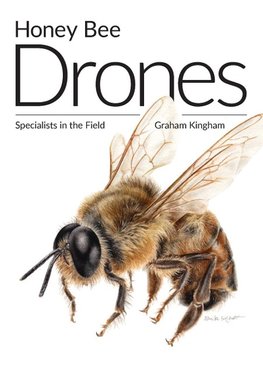 Honey Bee Drones