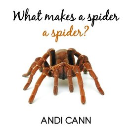 What Makes a Spider a Spider