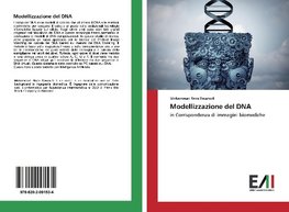 Modellizzazione del DNA