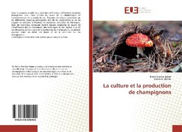 La culture et la production de champignons