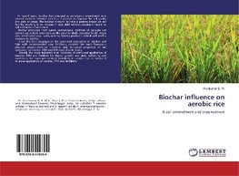 Biochar influence on aerobic rice