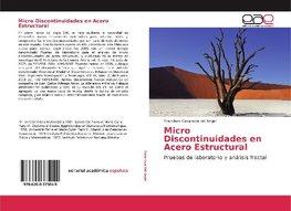 Micro Discontinuidades en Acero Estructural