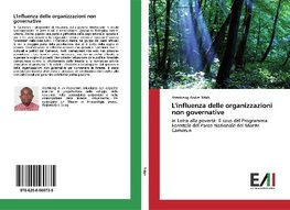 L'influenza delle organizzazioni non governative