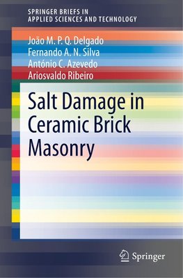 Salt Damage in Ceramic Brick Masonry