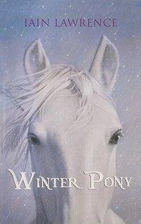 Winterpony