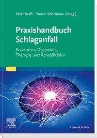 Praxishandbuch Schlaganfall