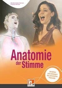 Anatomie der Stimme