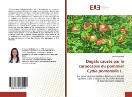 Dégâts causés par le carpocapse du pommier Cydia pomonella L.