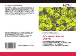 BIOLIXIVIACIÓN DE COBRE