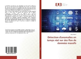 Détection d'anomalies en temps réel sur des flux de données massifs