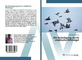 Die Belästigung durch städtische Wildvögel