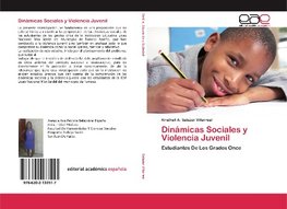 Dinámicas Sociales y Violencia Juvenil