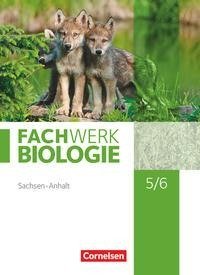 Fachwerk Biologie. 5./6. Schuljahr - Sachsen-Anhalt - Schülerbuch