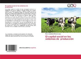 El capital social en los sistemas de producción