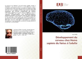 Développement du cerveau chez Homo sapiens du foetus à l'adulte