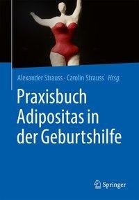 Praxisbuch Adipositas in der Geburtshilfe