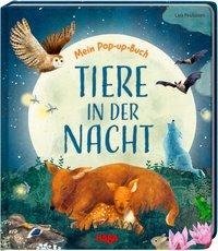 Mein Pop-up-Buch - Tiere in der Nacht