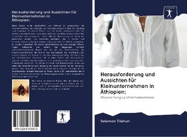 Herausforderung und Aussichten für Kleinunternehmen in Äthiopien: