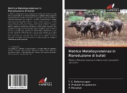 Matrice Metalloproteinasi in Riproduzione di bufali