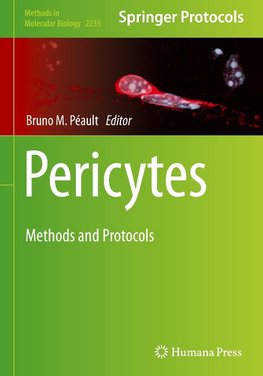 Pericytes