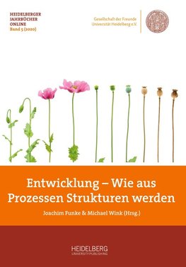 Entwicklung - Wie aus Prozessen Strukturen werden